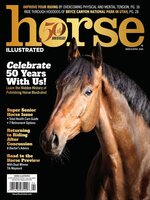 Horse Illustrated